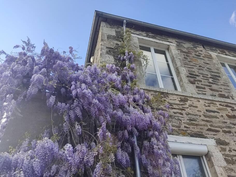 Ferienwohnung Le Vulcain Le Hommet-d'Arthenay Exterior foto