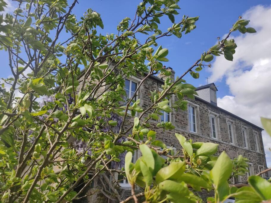 Ferienwohnung Le Vulcain Le Hommet-d'Arthenay Exterior foto